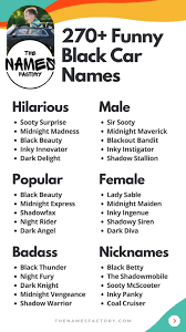 Funny Black Names That’ll Make You LOL!
