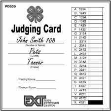 “What is a Judging Card? Everything You Need to Know”